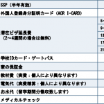 現地支払費用MMBS